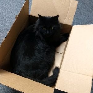 Meet your Posher, Mindy